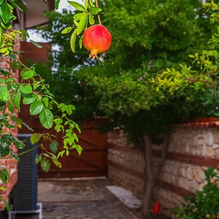 Alenor | Sea View & Access Villa *