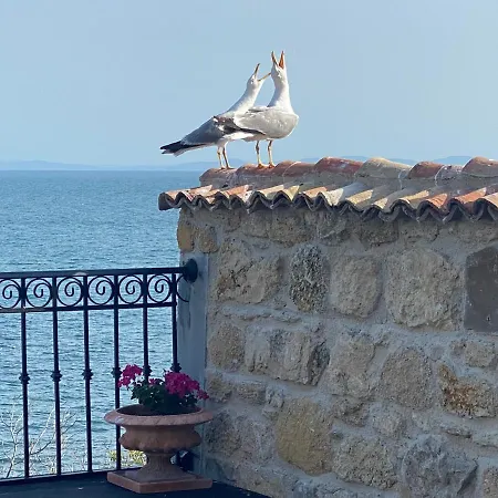 Villa Alenor | Sea View & Beach Access * Nesebar