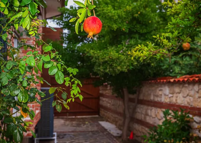 Alenor | Sea View & Access فيلة *